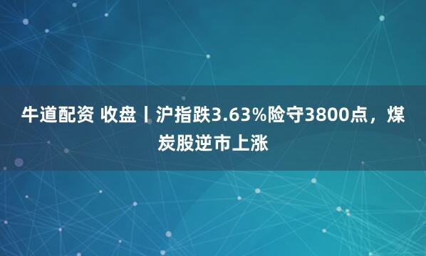牛道配资 收盘丨沪指跌3.63%险守3800点，煤炭股逆市上涨