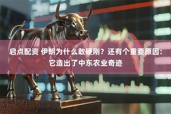 启点配资 伊朗为什么敢硬刚？还有个重要原因：它造出了中东农业奇迹